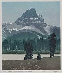 #263 ~ Weber - Roche Miette, Jasper National Park, Alberta  #79/104