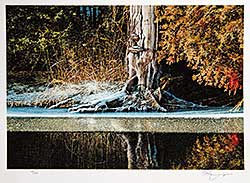 #665 ~ Danby - Untitled - Tree with Melting Snow  #70/100