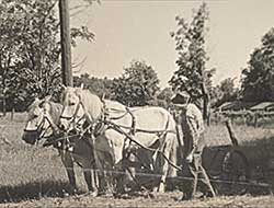#758 ~ Johnston - A Farmer Observing his Horses