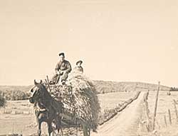 #762 ~ Johnston - Carting Hay
