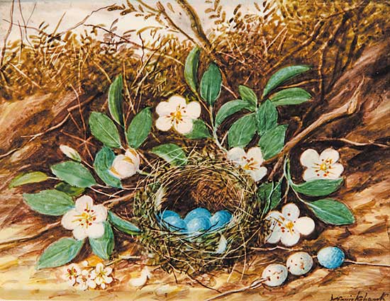 #424 ~ Cruikshank - Bird's Nest [with Blue Eggs] and Flowers