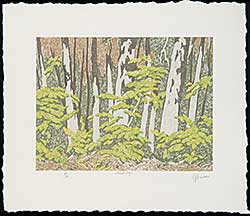 #413 ~ Casson - Forest Edge [Green]  #48/150