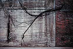 #339 ~ Jordan - Untitled - Wall and Wiring