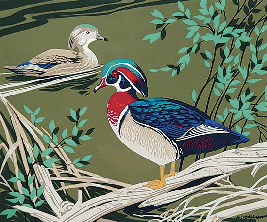 #420 ~ Casson - Untitled - Pintail Ducks