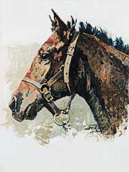 #210 ~ King - Untitled - Portrait of a Thoroughbred
