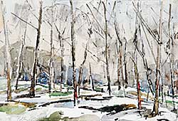 #484 ~ Petley-Jones - Snow in the Woods