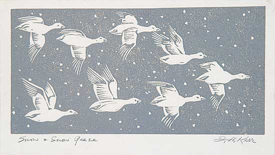 #712 ~ Kerr - Snow and Snow Geese