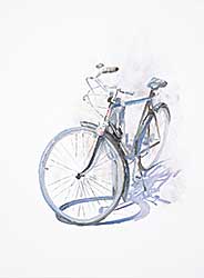 #43 ~ Dineen - Bicycle Study 2