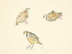 #63 ~ Gar - Easter [Prairie Birds]
