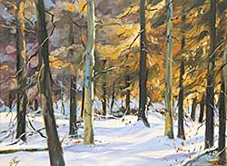 #425 ~ Evoy - Winter Woods