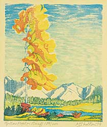 #1356 ~ Shelton - Yellow Poplar Banff  #189/200