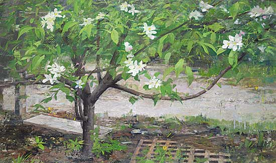#208 ~ Flodberg - Shaded Tree, Spring