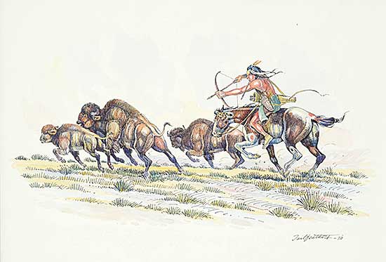 #469 ~ Tailfeathers - Buffalo Hunt