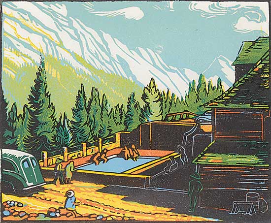 #1196 ~ Shelton - Upper Hot Springs, Banff  #75/200