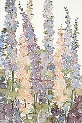 #1048 ~ Froese - Untitled - Delphiniums