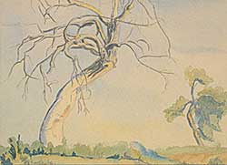 #1194 ~ Shelton - Untitled - Dead Poplar Tree