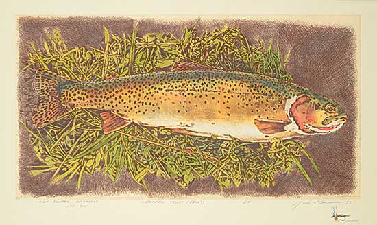#23 ~ Cowin - High Coutry Cutthroat - [Wester Trout Series]  #A.P.