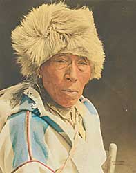 #340 ~ Pollard - Night Gypsy [Blackfoot]