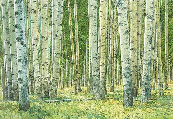 #501 ~ Thomson - Untitled - In the Birch Trees