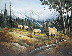 #433 ~ Fisher - Untitled - Herd of Elk