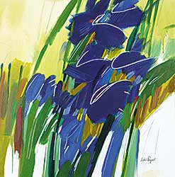 #476 ~ Paquet - Iris Sauvages
