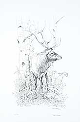 #1091 ~ Karsten - Untitled - Elk  #2/100