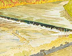 #1256 ~ Vincent - Untitled - Fishing at the Dam, Saskatoon