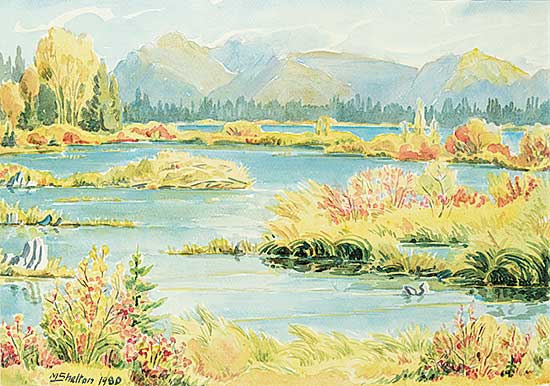 #94 ~ Shelton - Beaver Pond, Vermillion Lake