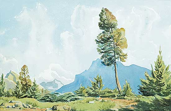 #95 ~ Shelton - Tree in Banff Campground, Mt. Rundle