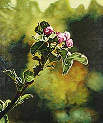 #9.1 ~ Bracegirdle - Untitled - In Bloom