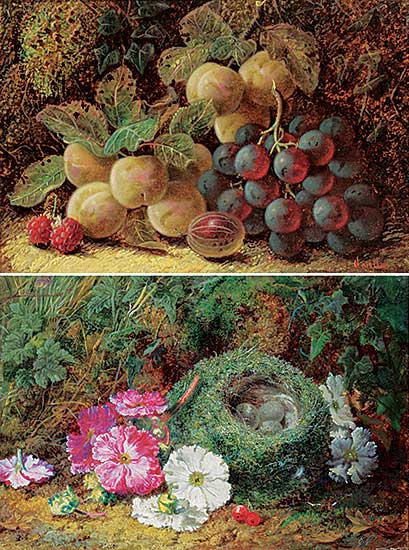 #301 ~ Clare - Untitled - Still Life with Flowers and Bird's Nest, Untitled - Still Life with Plums, Grapes and Raspberries