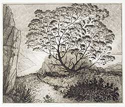 #10 ~ Blackwood - Gram Glover's Tree  #20/75