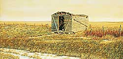 #47 ~ Gibbs - Old Shed