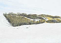 #1197 ~ Voyer - Alberta Landscape