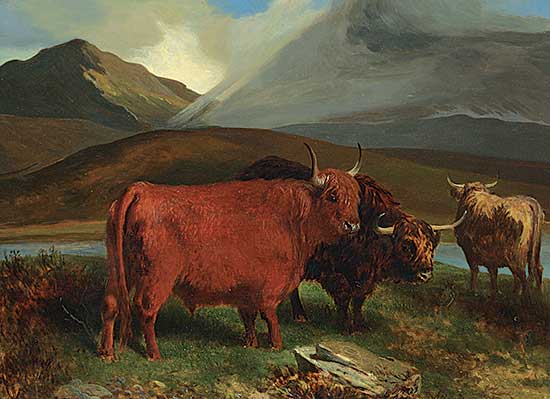 #306 ~ Corbould - Highland Cattle
