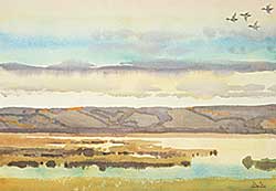#59 ~ Kerr - Marsh, Last Mountain Lake [Saskatchewan]