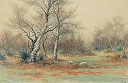 #109 ~ Verner - Untitled - Sheep in the Forest