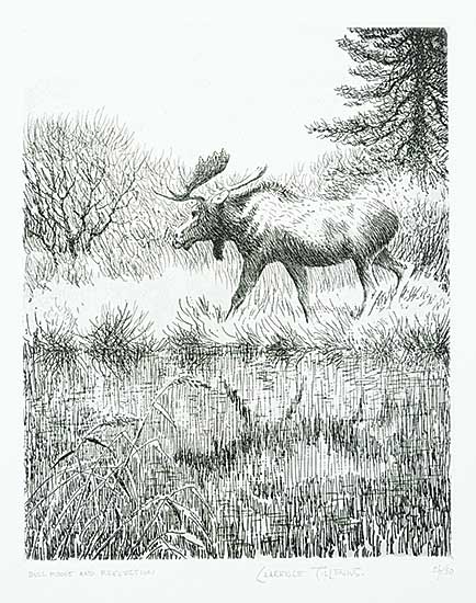 #1189 ~ Tillenius - Bull Moose and Reflection  #26/50