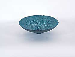 #1065 ~ Fox - Untitled - Turquoise Alligator Skin Bowl