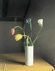#1344 ~ Daubney - Untitled - Vase of Tulips
