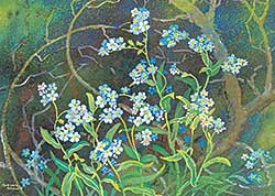 #414 ~ Brown - Untitled - Forget-Me-Not