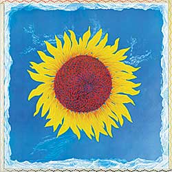 #1347 ~ Voyer - Untitled - Sol Flower