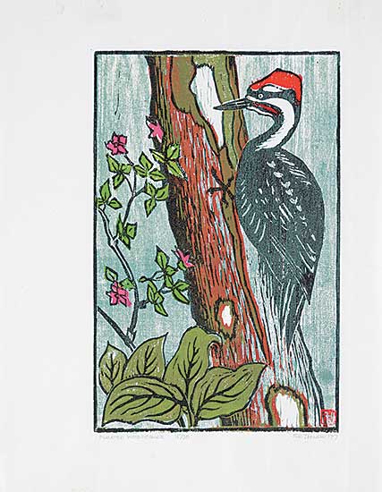 #38 ~ Johnston - Pileated Woodpecker  #15/30