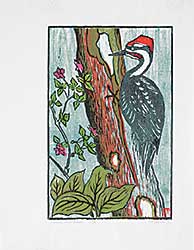 #38 ~ Johnston - Pileated Woodpecker  #15/30