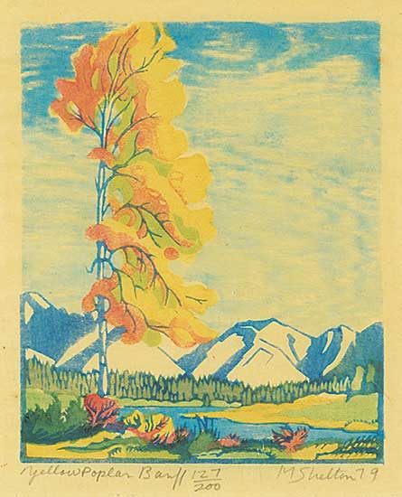 #258 ~ Shelton - Yellow Poplar, Banff  #127/200