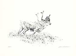 #109 ~ Bateman - Woodland Caribou  #72/290