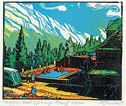 #256 ~ Shelton - Upper Hot Springs, Banff  #52/200