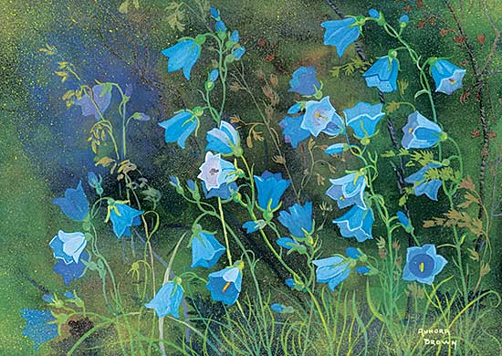 #18 ~ Brown - Untitled - Bluebell Flowers [Harebell]