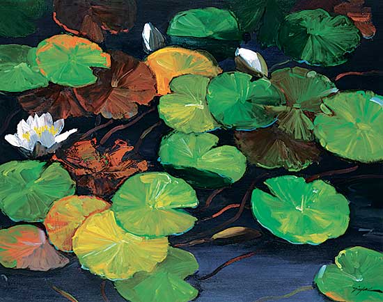 #412 ~ Chan - Untitled - Lily Pads