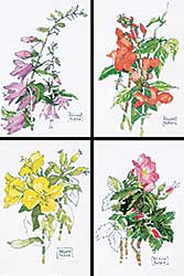 #407 ~ Bobak - Four Flower Studies